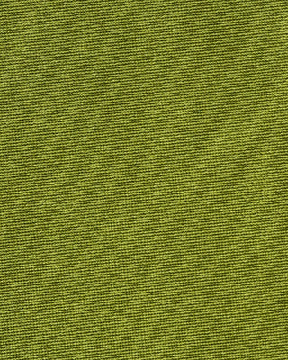 Conjunto de Bikini Triangular Verde Natural con Cintura Alta